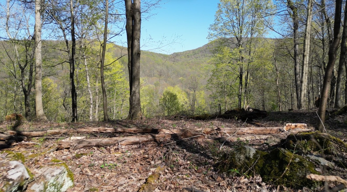 View of Ohiopyle landscape