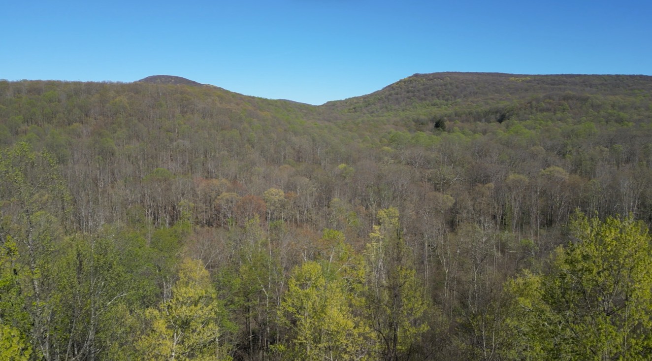 Scenic view of Ohiopyle State Park